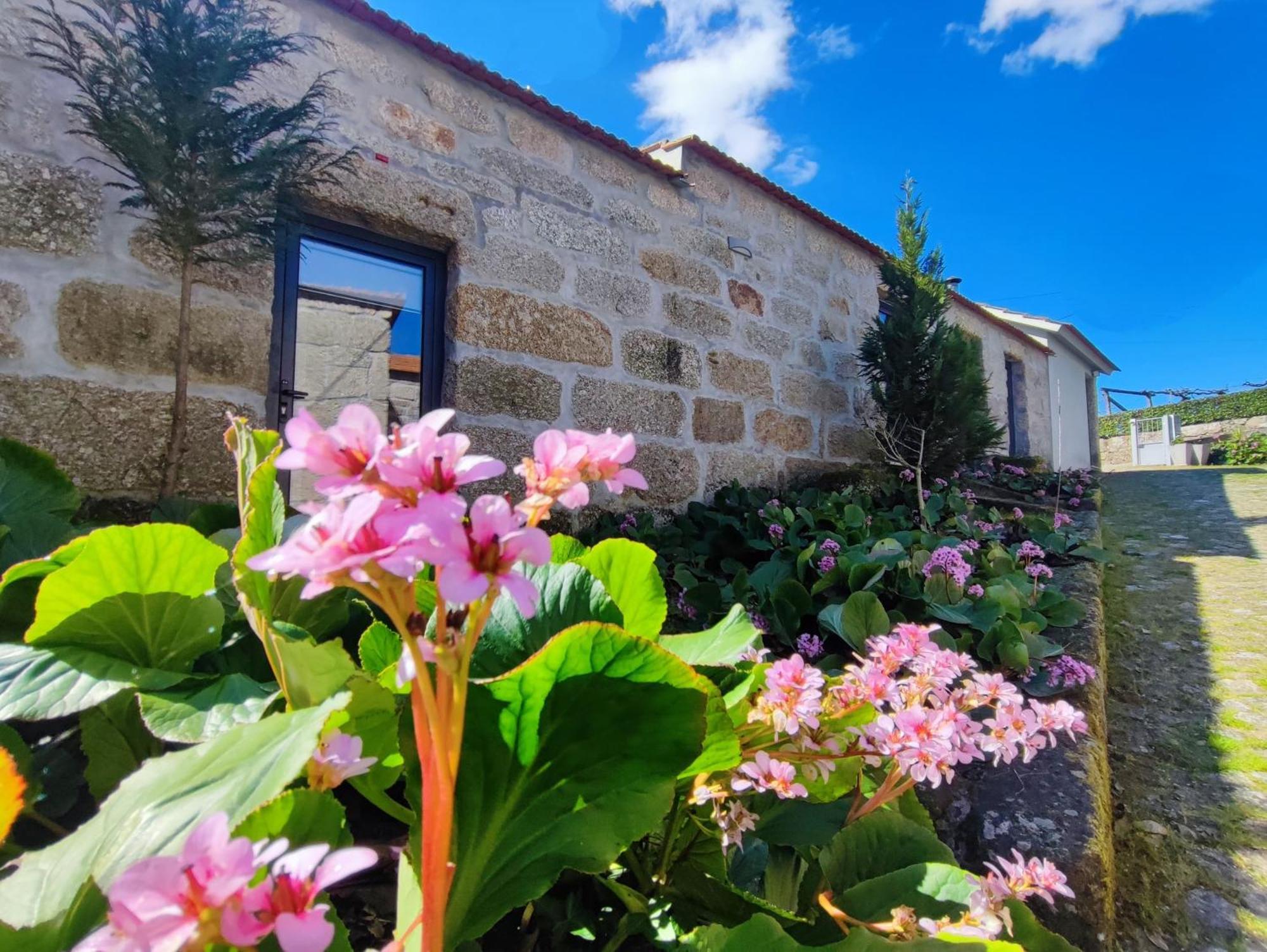 Agroturismo Quinta De Travancela Amarante Exterior foto